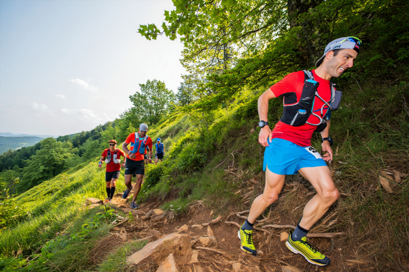 3d618013b588bbd82b2189537e55ee14